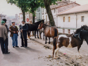 Mercat de bestiar gros al Puig del Roser. ACGAX. Servei d'Imatges. Fons Ajuntament d'Olot. Autor: Jesús Coma Rico, 1992.