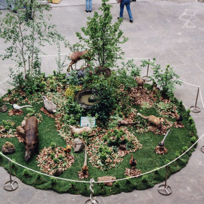 Simulació d'un bosc amb animals autòctons dissecats, al voltant de la font del pati de l'Hospici. ACGAX. Servei d'Imatges. Fons Jaume Tané Cufí. Autor desconegut, 1997.