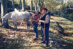 Mostra de bestiar gros al passeig de Sant Roc. ACGAX. Servei d'Imatges. Fons Jaume Tané Cufí. Autor desconegut, c.1985.