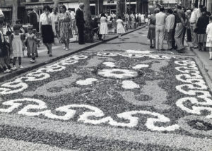 Vista general d'una catifa de flors durant dia de Corpus, al passeig de Miquel Blay, o Firal. ACGAX. Servei d'Imatges. Fons L'Olotí. Autor desconegut, 1983-1984.