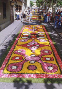 Vista general d'unes catifes de flors durant el dia de Corpus, al passeig de Miquel Blay, o Firal. ACGAX. Servei d'Imatges. Fons Ajuntament d'Olot. Autor desconegut, 1993.